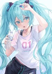hatsune miku from vocaloid