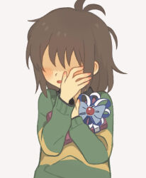 kris (deltarune) from deltarune