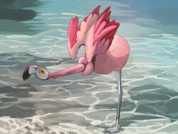 flamigo from pokemon by fusenryo