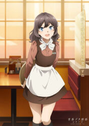 seishun buta yarou fan art