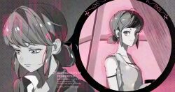 marinette dupain-cheng from miraculous ladybug by seio (nao miragggcc45)
