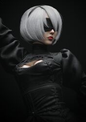 2b (nier:automata) from nier:automata