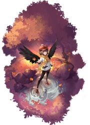 shameimaru aya from touhou
