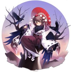 shameimaru aya from touhou