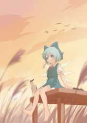 cirno from touhou