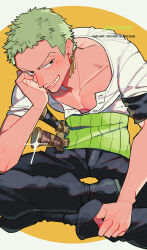 roronoa zoro from one piece