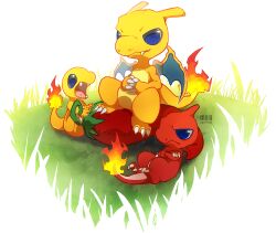 charizard from pokemon