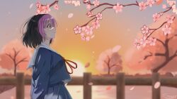 pippi (osu!) from osu!