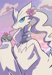 reshiram from pokemon