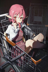 mystia lorelei from touhou