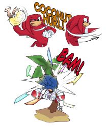 knuckles the echidna from sonic (series)