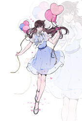 mouri ran from meitantei conan