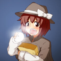 usami renko from touhou