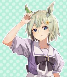 seiun sky (umamusume) from umamusume