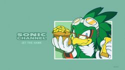 jet the hawk from sonic (series)