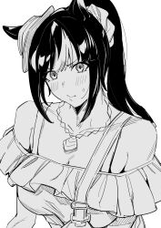 umamusume fan art