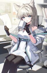 perlica (arknights) from arknights