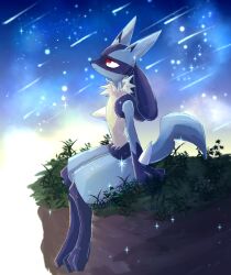 lucario from pokemon