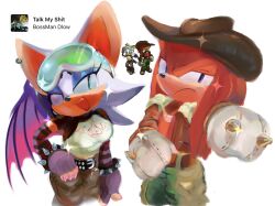 knuckles the echidna from sonic (series)