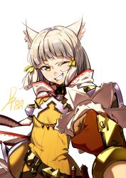 nia (xenoblade) from xenoblade chronicles (series)