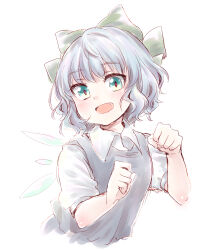 cirno from touhou by kuromame (8gou)