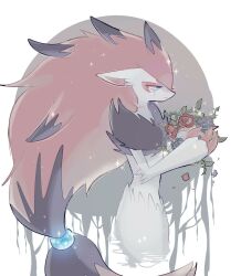 zoroark from pokemon