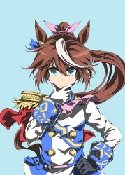 tokai teio (umamusume) from umamusume by zukki (bijitaru)