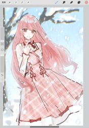 nikki (nikki) from nikki (series)