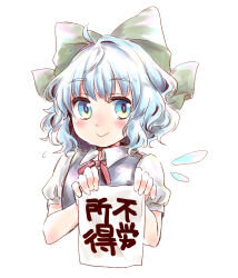 cirno from touhou by kuromame (8gou)