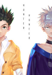 gon freecss from hunter x hunter