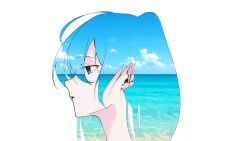 hatsune miku from vocaloid