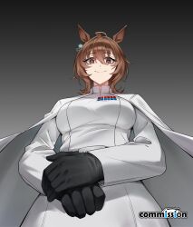 agnes tachyon (umamusume) from star wars