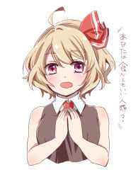 rumia from touhou by kuromame (8gou)