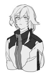 fu hua from honkai (series)