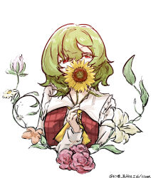 kazami yuuka from touhou