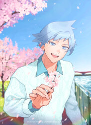 steven stone from pokemon
