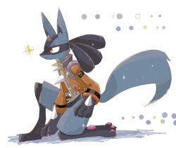 lucario from pokemon
