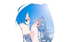 hatsune miku from vocaloid