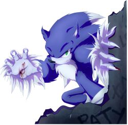 sonic the hedgehog from sonic (series)
