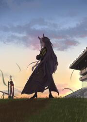 dream journey (reminder of dreamland) (umamusume) from umamusume