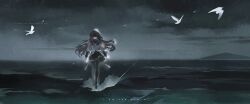 akemi homura from mahou shoujo madoka magica