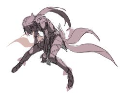 fu hua from honkai (series)