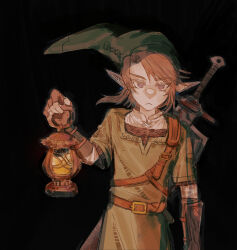 link from the legend of zelda