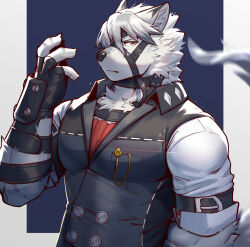 von lycaon from zenless zone zero