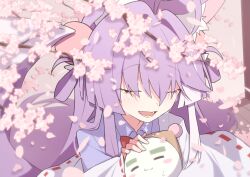 inari (tenko shibuki) from stellive