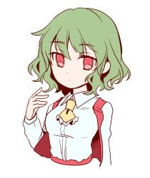 kazami yuuka from touhou by kuromame (8gou)