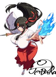 queen's blade fan art