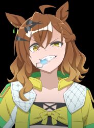 jungle pocket (champion's battle cry) (umamusume) from umamusume