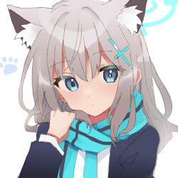 shiroko (blue archive) from blue archive
