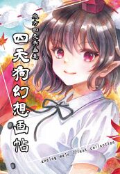 shameimaru aya from touhou by hajike akira
